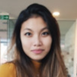 Hanh Bui Thuy