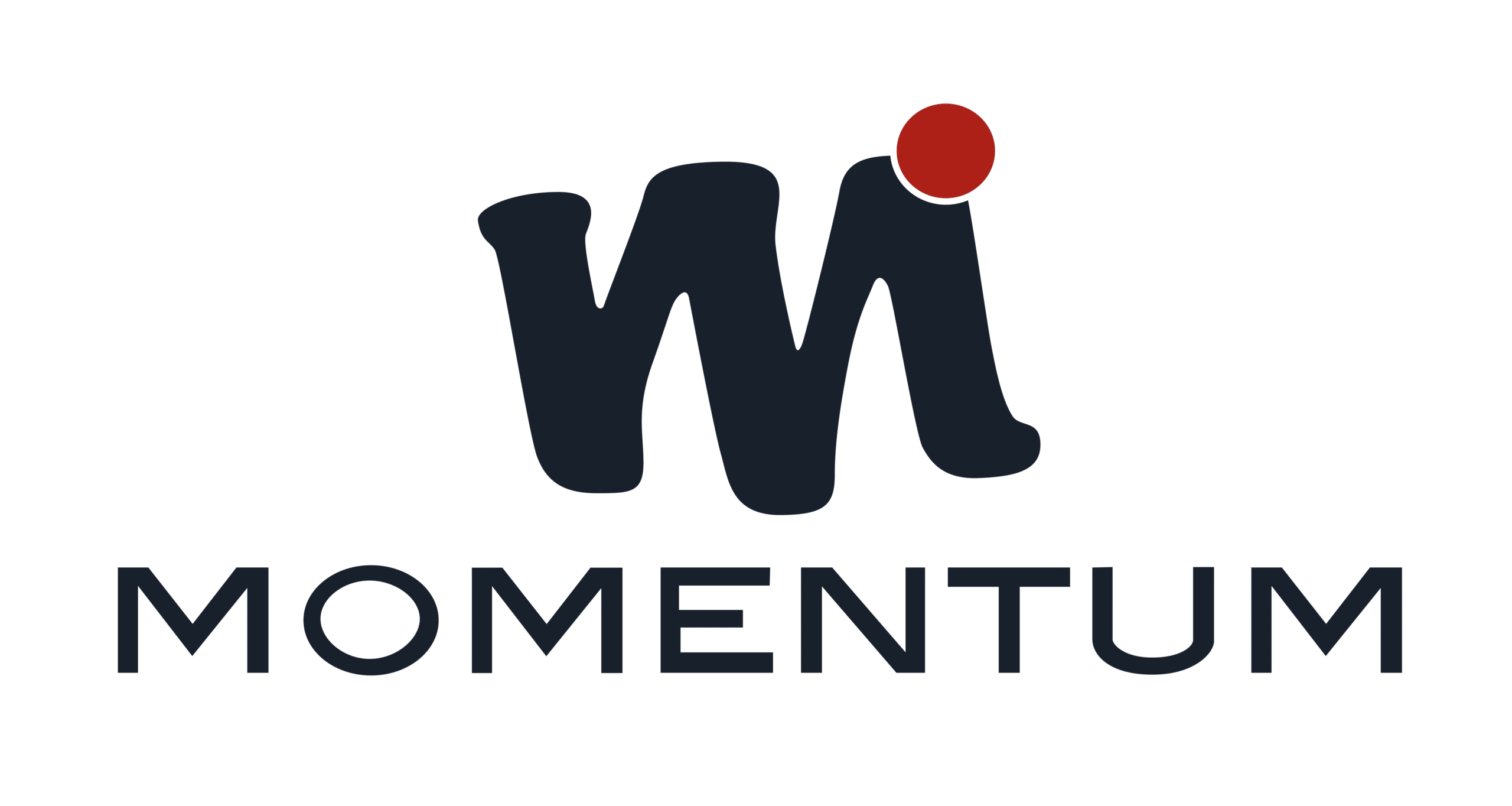 Momentum